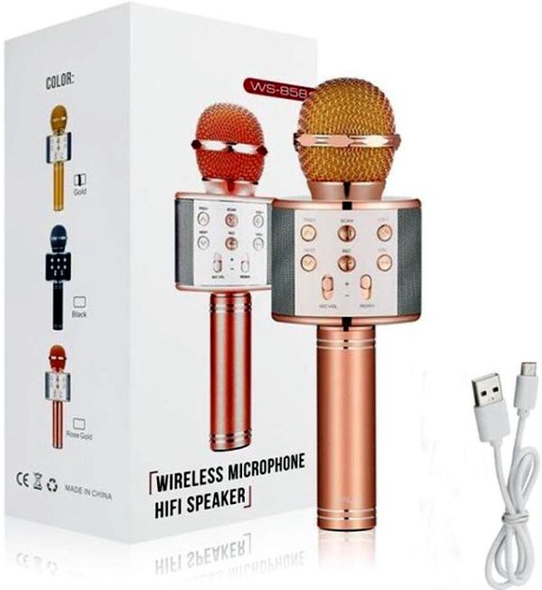 Wireless Microphone Hifi Speaker
